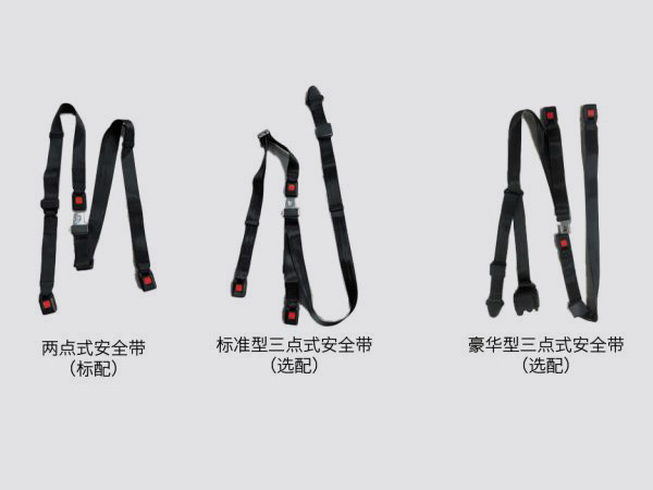 轮椅约束系统