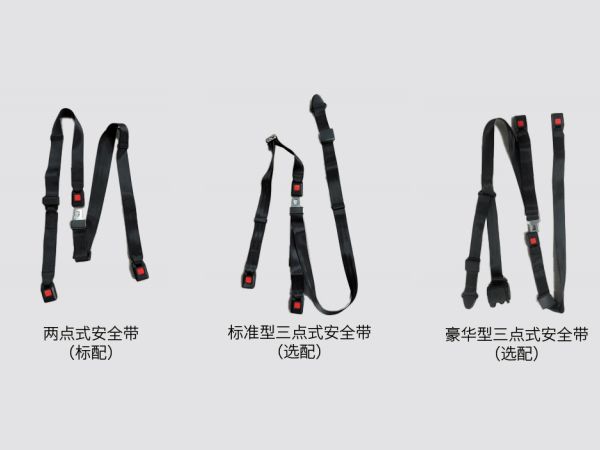 轮椅约束系统